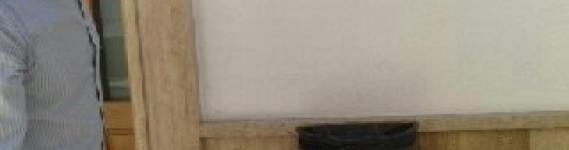 Presentación del Programa Bolaños Limpio 12