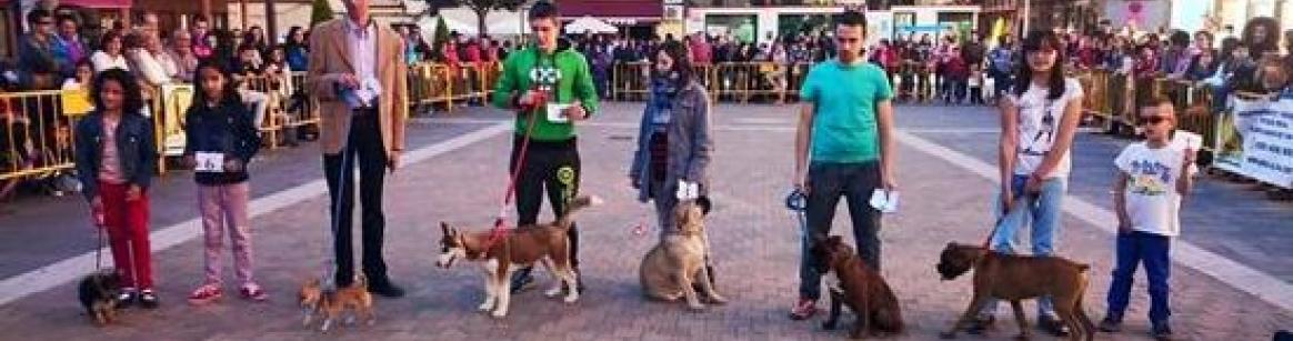 I Concurso de Belleza Canina"Bolaños Limpio" 1