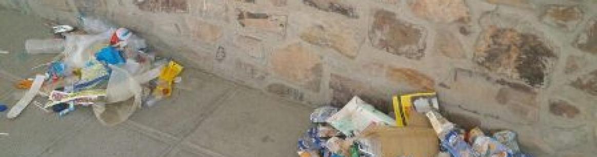 Campaña "Bolaños Limpio" en la Escuela de Verano 1