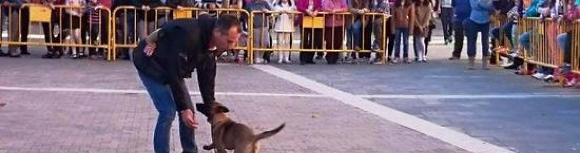 I Concurso de Belleza Canina"Bolaños Limpio" 4