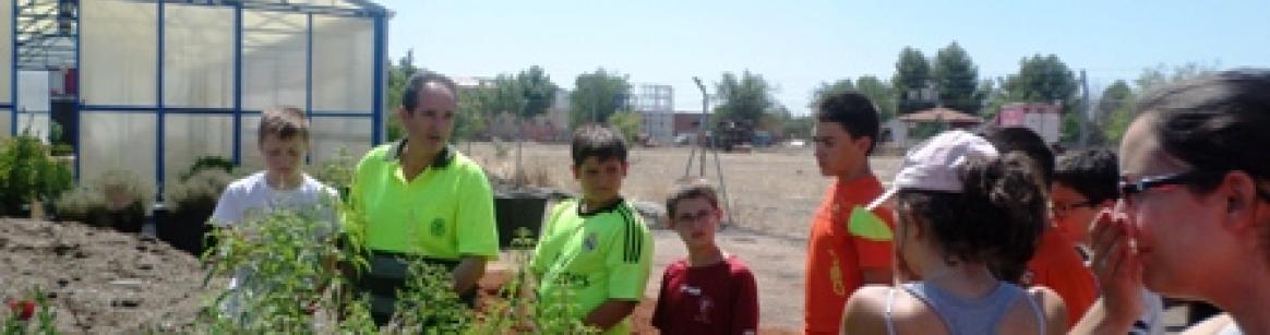 Campamento Urbano: Mimetizate con el Medio Ambiente 19