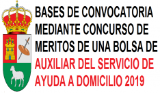 LOGO AUXILIAR SERVICIO AYUDA A DOMICILIO