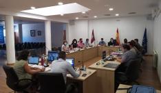 pleno ordinario julio