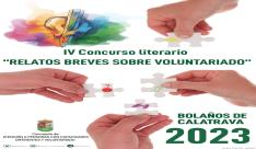 cartel discapacidad y voluntariado